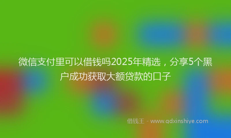 微信支付里可以借钱吗2025年精选，分享5个黑户成功获取大额贷款的口子