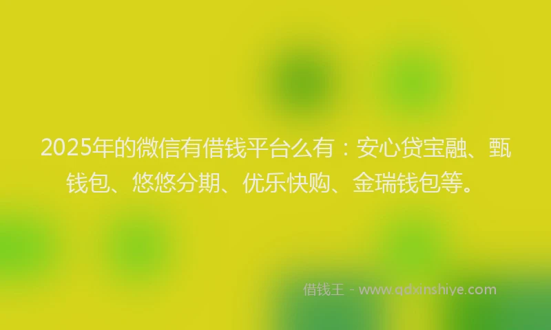 2025年的微信有借钱平台么有：安心贷宝融、甄钱包、悠悠分期、优乐快购、金瑞钱包等。
