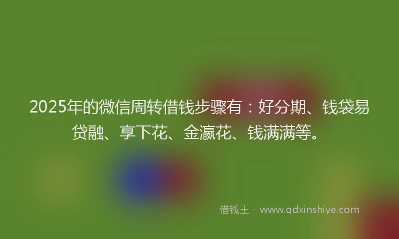2025年的微信周转借钱步骤有：好分期、钱袋易贷融、享下花、金瀛花、钱满满等。