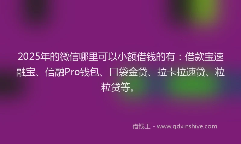 2025年的微信哪里可以小额借钱的有：借款宝速融宝、信融Pro钱包、口袋金贷、拉卡拉速贷、粒粒贷等。