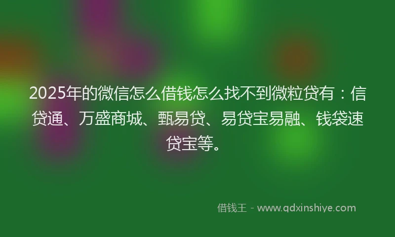 2025年的微信怎么借钱怎么找不到微粒贷有：信贷通、万盛商城、甄易贷、易贷宝易融、钱袋速贷宝等。