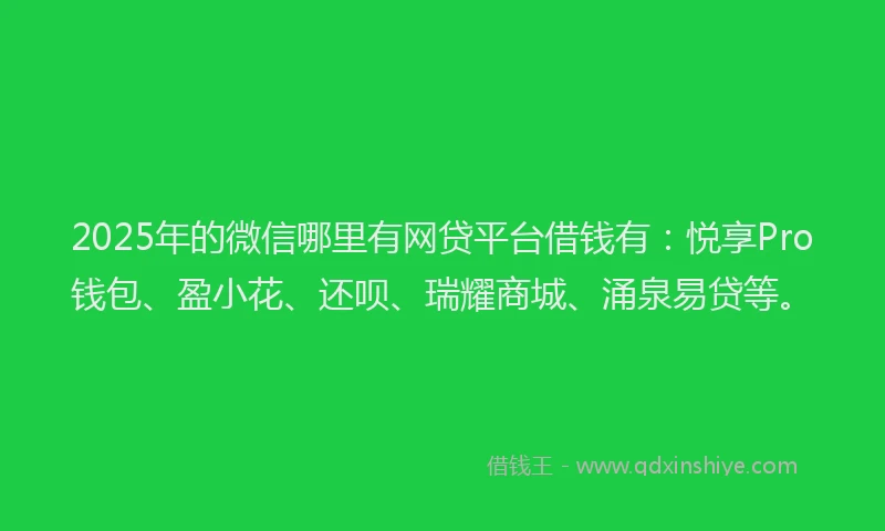 2025年的微信哪里有网贷平台借钱有：悦享Pro钱包、盈小花、还呗、瑞耀商城、涌泉易贷等。