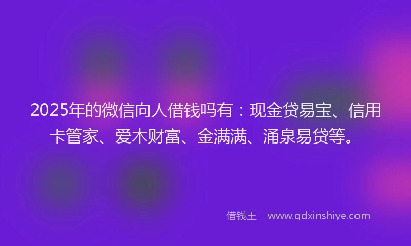 2025年的微信向人借钱吗有：现金贷易宝、信用卡管家、爱木财富、金满满、涌泉易贷等。