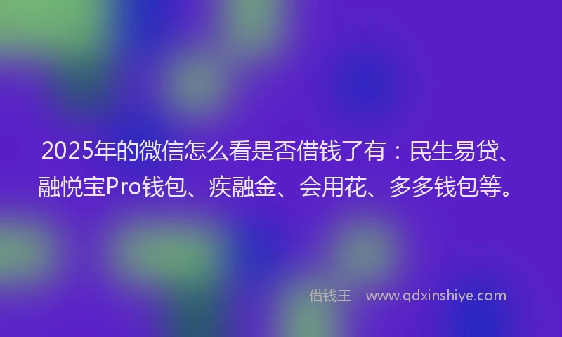 2025年的微信怎么看是否借钱了有：民生易贷、融悦宝Pro钱包、疾融金、会用花、多多钱包等。