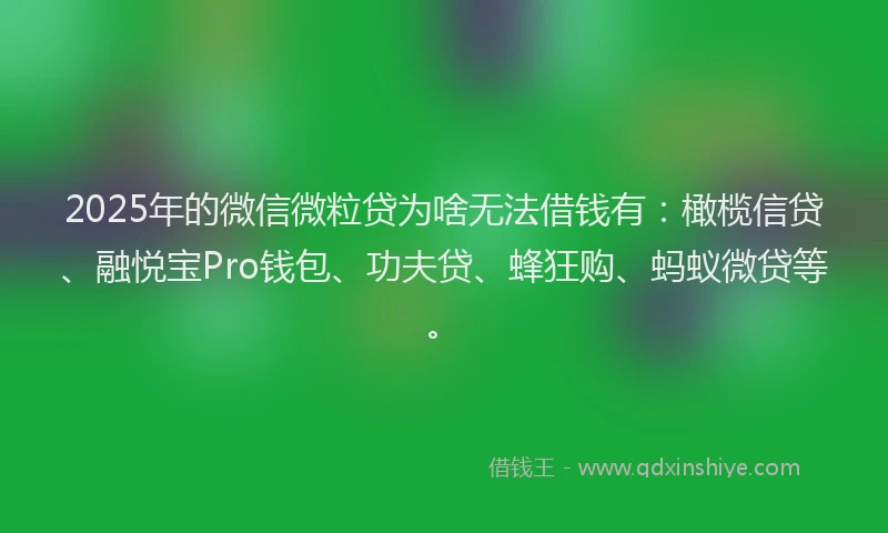 2025年的微信微粒贷为啥无法借钱有：橄榄信贷、融悦宝Pro钱包、功夫贷、蜂狂购、蚂蚁微贷等。