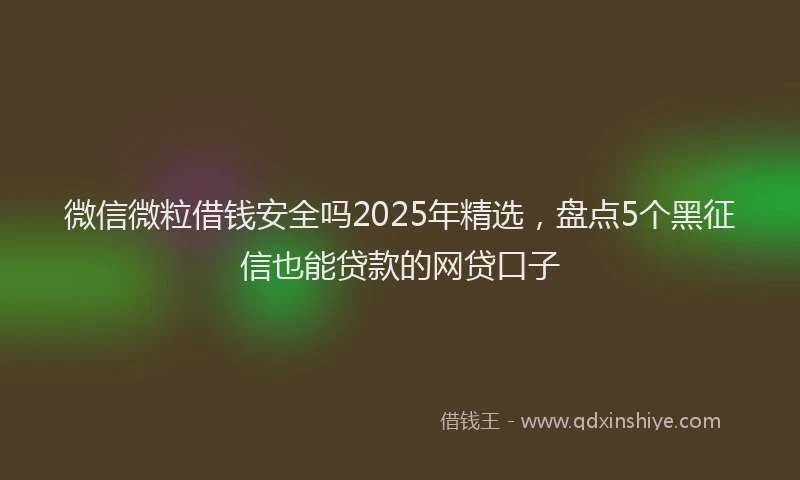 微信微粒借钱安全吗2025年精选，盘点5个黑征信也能贷款的网贷口子