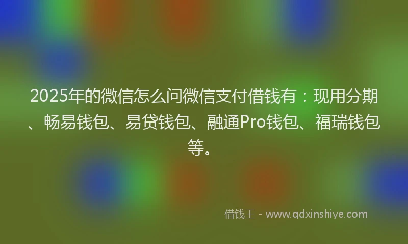 2025年的微信怎么问微信支付借钱有：现用分期、畅易钱包、易贷钱包、融通Pro钱包、福瑞钱包等。