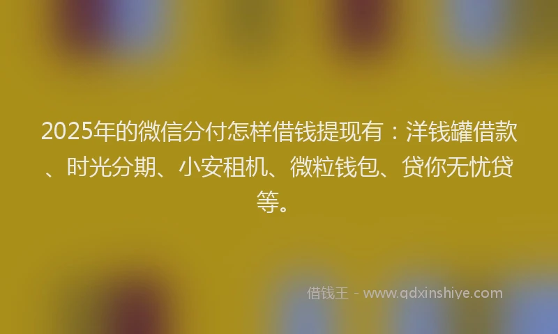 2025年的微信分付怎样借钱提现有：洋钱罐借款、时光分期、小安租机、微粒钱包、贷你无忧贷等。