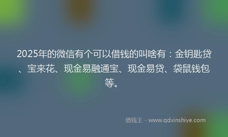 2025年的微信有个可以借钱的叫啥有：金钥匙贷、宝来花、现金易融通宝、现金易贷、袋鼠钱包等。