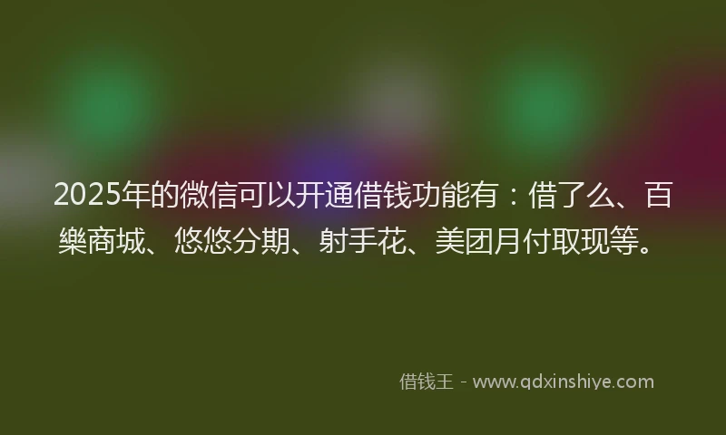 2025年的微信可以开通借钱功能有：借了么、百樂商城、悠悠分期、射手花、美团月付取现等。