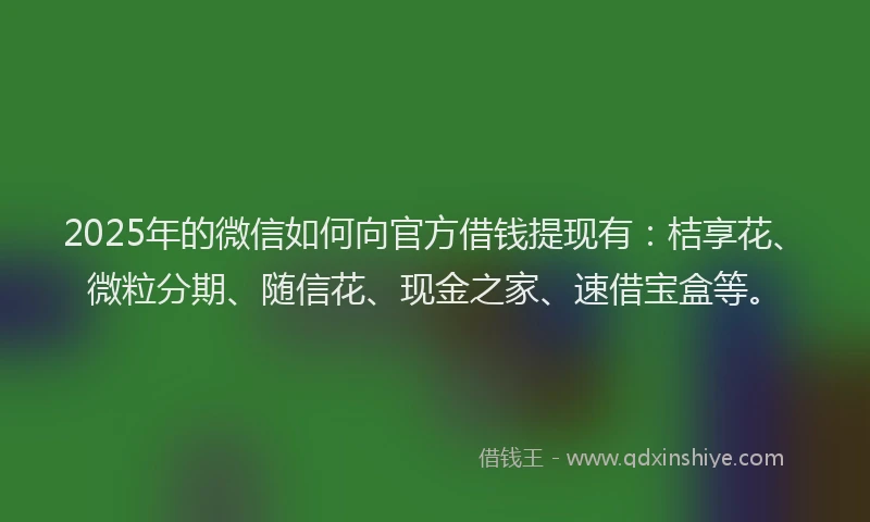 2025年的微信如何向官方借钱提现有：桔享花、微粒分期、随信花、现金之家、速借宝盒等。