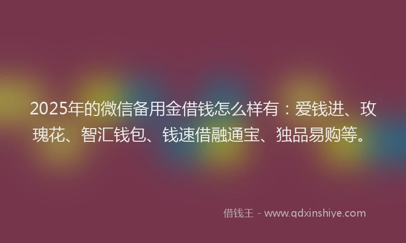 2025年的微信备用金借钱怎么样有：爱钱进、玫瑰花、智汇钱包、钱速借融通宝、独品易购等。