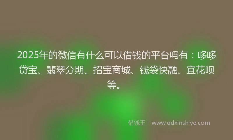 2025年的微信有什么可以借钱的平台吗有：哆哆贷宝、翡翠分期、招宝商城、钱袋快融、宜花呗等。
