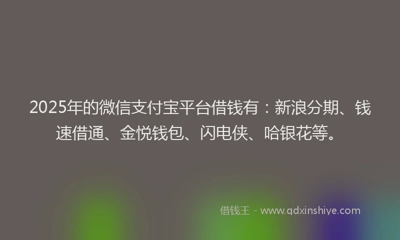 2025年的微信支付宝平台借钱有：新浪分期、钱速借通、金悦钱包、闪电侠、哈银花等。