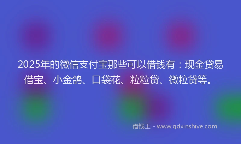 2025年的微信支付宝那些可以借钱有：现金贷易借宝、小金鸽、口袋花、粒粒贷、微粒贷等。