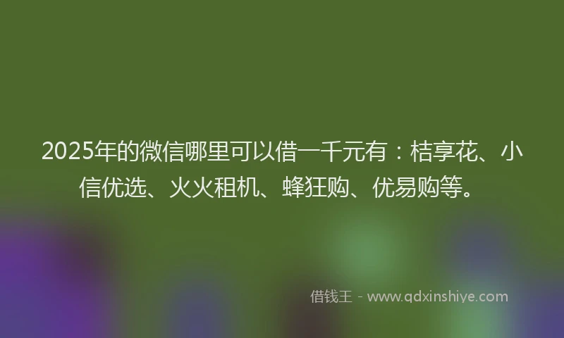 2025年的微信哪里可以借一千元有：桔享花、小信优选、火火租机、蜂狂购、优易购等。