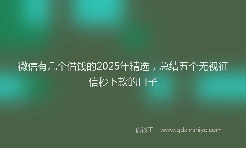 微信有几个借钱的2025年精选，总结五个无视征信秒下款的口子
