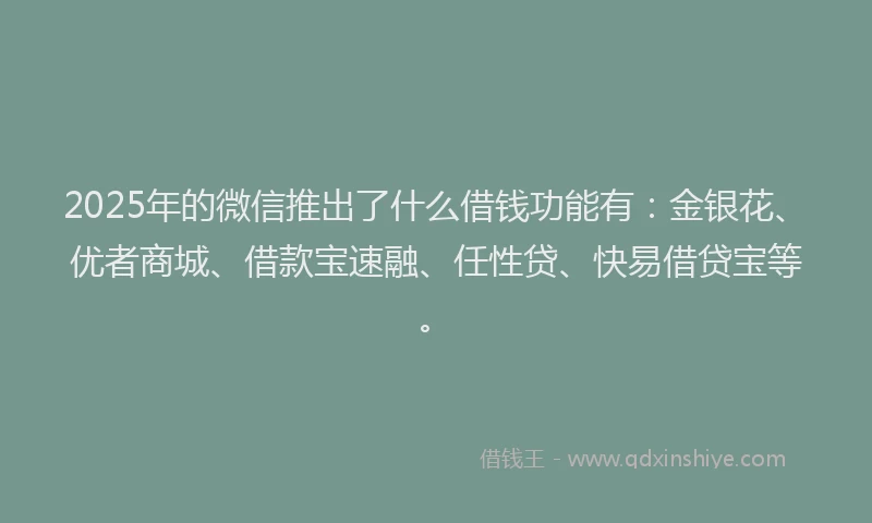 2025年的微信推出了什么借钱功能有：金银花、优者商城、借款宝速融、任性贷、快易借贷宝等。