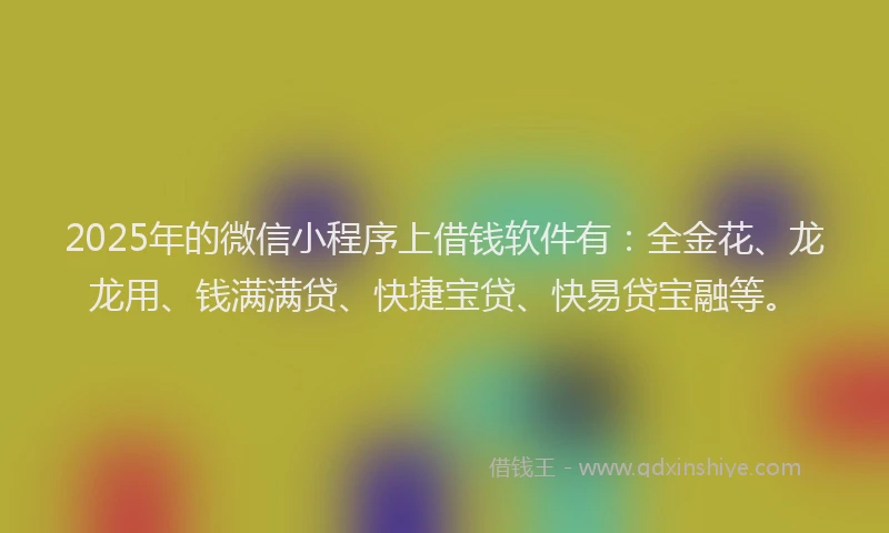 2025年的微信小程序上借钱软件有：全金花、龙龙用、钱满满贷、快捷宝贷、快易贷宝融等。