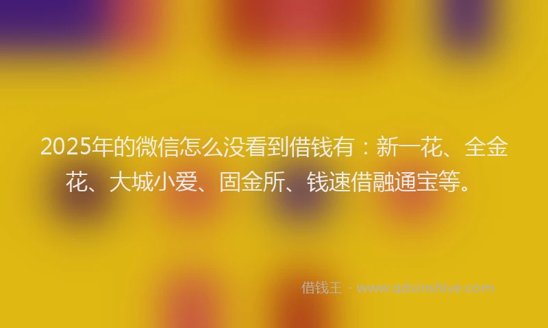 2025年的微信怎么没看到借钱有：新一花、全金花、大城小爱、固金所、钱速借融通宝等。