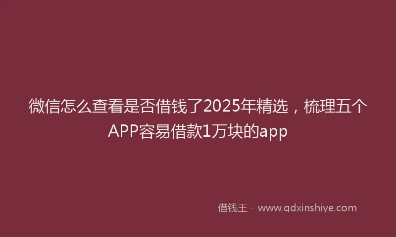 微信怎么查看是否借钱了2025年精选，梳理五个APP容易借款1万块的app