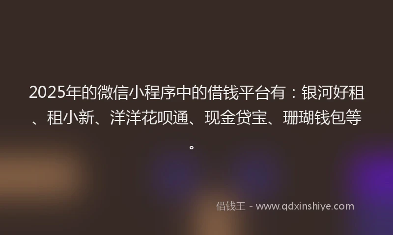 2025年的微信小程序中的借钱平台有：银河好租、租小新、洋洋花呗通、现金贷宝、珊瑚钱包等。