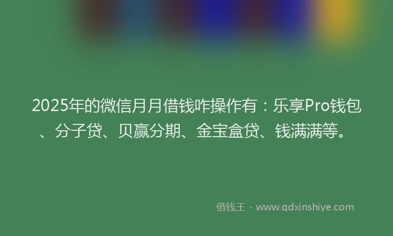 2025年的微信月月借钱咋操作有：乐享Pro钱包、分子贷、贝赢分期、金宝盒贷、钱满满等。