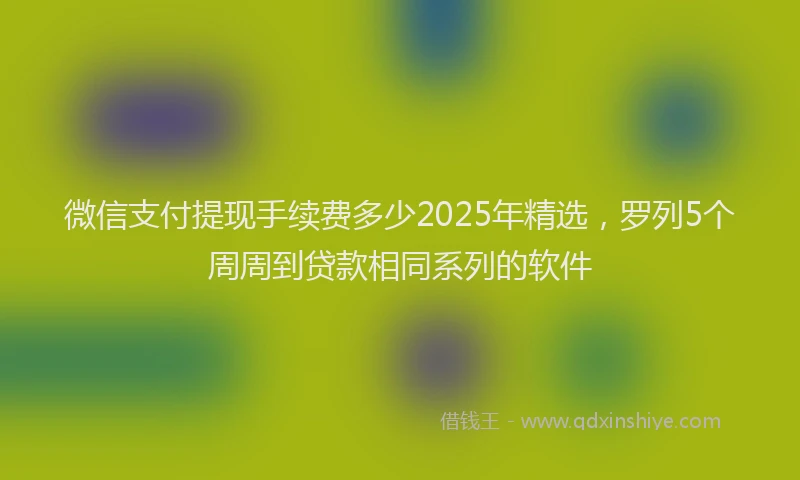 微信支付提现手续费多少2025年精选，罗列5个周周到贷款相同系列的软件