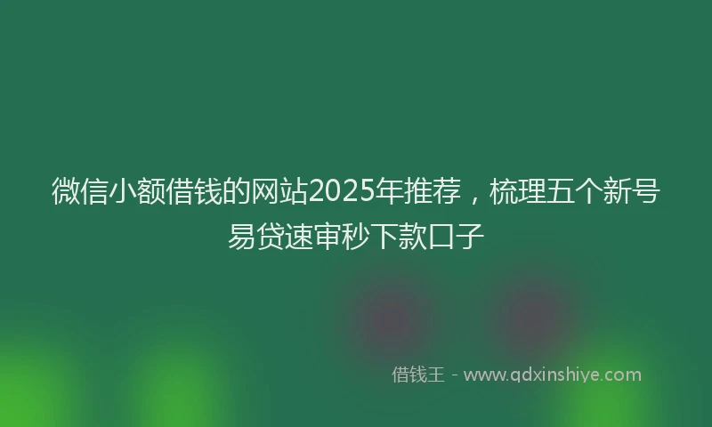 微信小额借钱的网站2025年推荐，梳理五个新号易贷速审秒下款口子