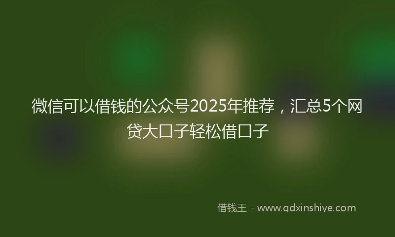 微信可以借钱的公众号2025年推荐，汇总5个网贷大口子轻松借口子