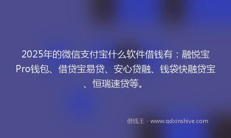 2025年的微信支付宝什么软件借钱有：融悦宝Pro钱包、借贷宝易贷、安心贷融、钱袋快融贷宝、恒瑞速贷等。