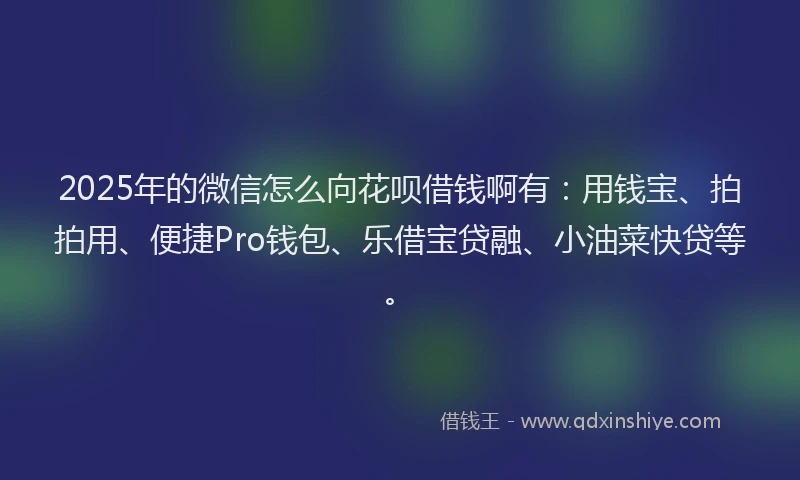 2025年的微信怎么向花呗借钱啊有：用钱宝、拍拍用、便捷Pro钱包、乐借宝贷融、小油菜快贷等。
