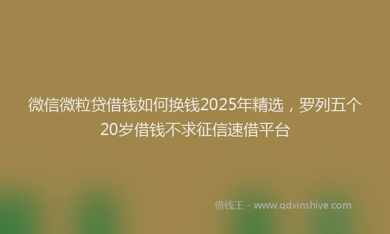 微信微粒贷借钱如何换钱2025年精选，罗列五个20岁借钱不求征信速借平台