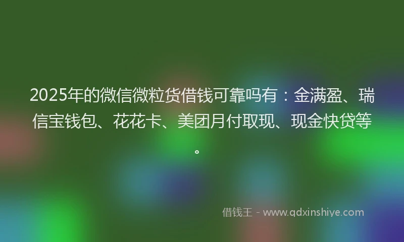 2025年的微信微粒货借钱可靠吗有：金满盈、瑞信宝钱包、花花卡、美团月付取现、现金快贷等。