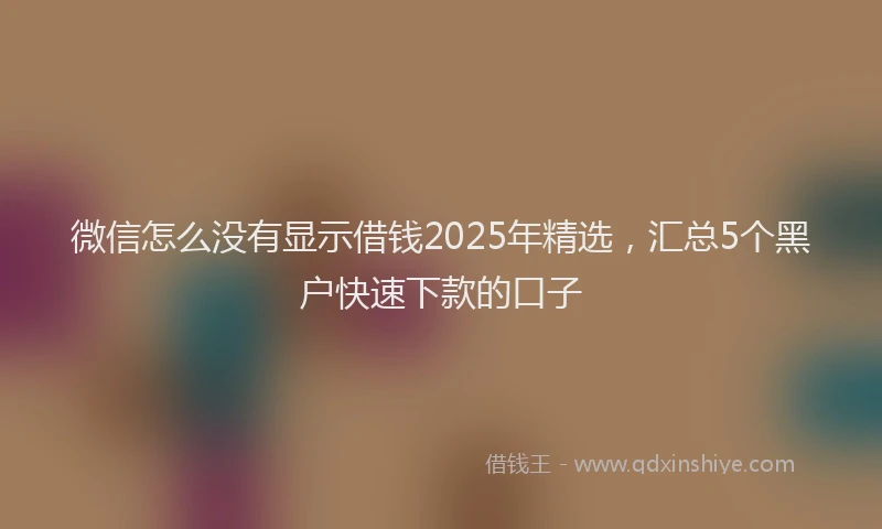 微信怎么没有显示借钱2025年精选，汇总5个黑户快速下款的口子