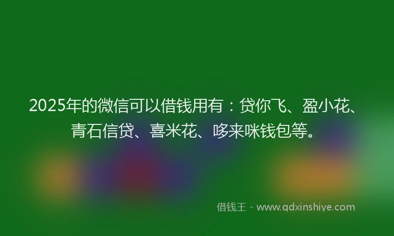 2025年的微信可以借钱用有：贷你飞、盈小花、青石信贷、喜米花、哆来咪钱包等。
