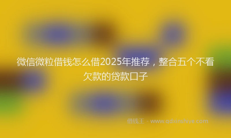 微信微粒借钱怎么借2025年推荐，整合五个不看欠款的贷款口子