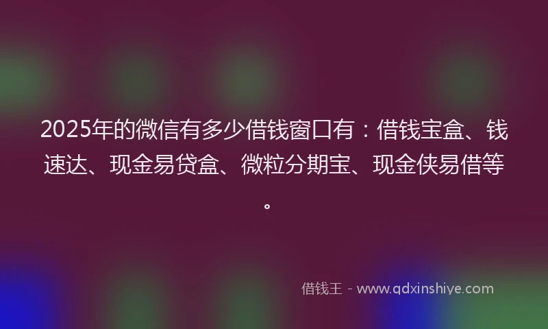 2025年的微信有多少借钱窗口有：借钱宝盒、钱速达、现金易贷盒、微粒分期宝、现金侠易借等。