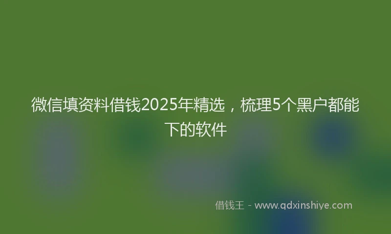 微信填资料借钱2025年精选，梳理5个黑户都能下的软件