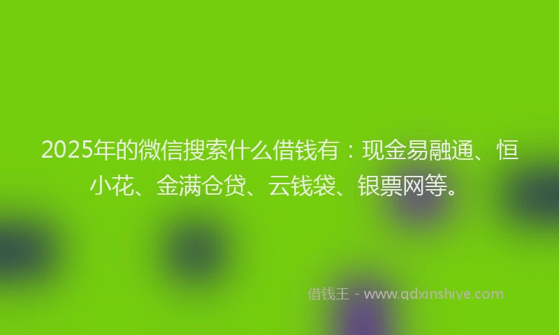 2025年的微信搜索什么借钱有：现金易融通、恒小花、金满仓贷、云钱袋、银票网等。