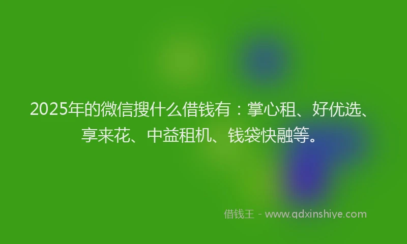2025年的微信搜什么借钱有：掌心租、好优选、享来花、中益租机、钱袋快融等。