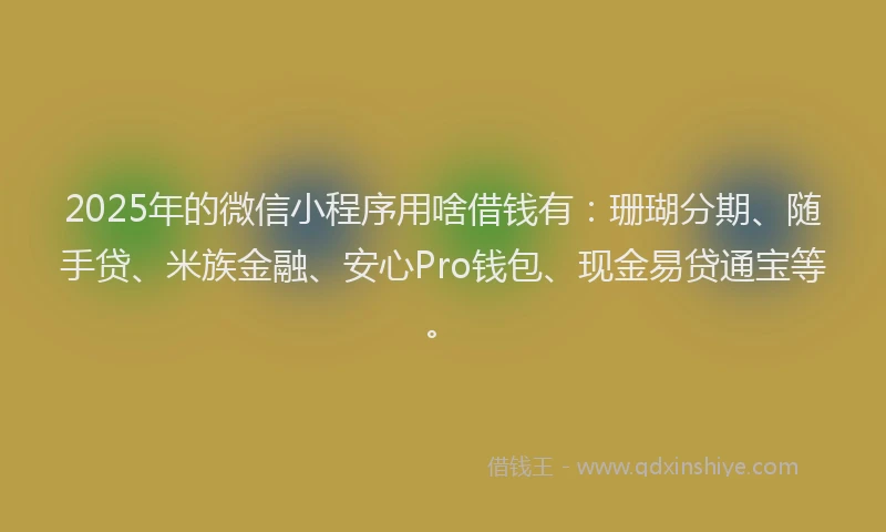 2025年的微信小程序用啥借钱有：珊瑚分期、随手贷、米族金融、安心Pro钱包、现金易贷通宝等。