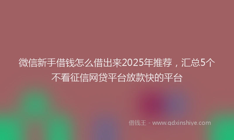 微信新手借钱怎么借出来2025年推荐，汇总5个不看征信网贷平台放款快的平台
