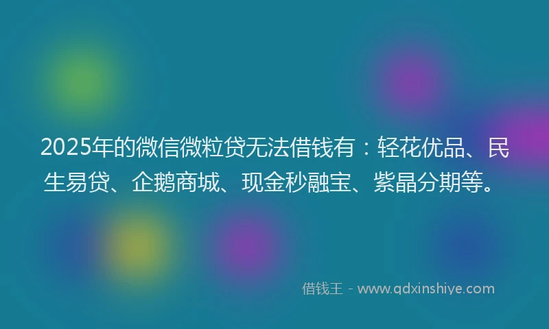 2025年的微信微粒贷无法借钱有：轻花优品、民生易贷、企鹅商城、现金秒融宝、紫晶分期等。