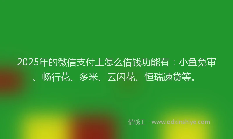 2025年的微信支付上怎么借钱功能有：小鱼免审、畅行花、多米、云闪花、恒瑞速贷等。