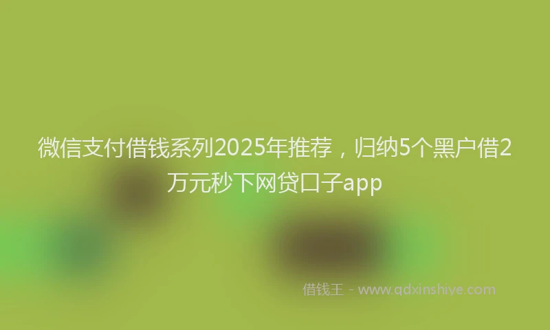 微信支付借钱系列2025年推荐，归纳5个黑户借2万元秒下网贷口子app