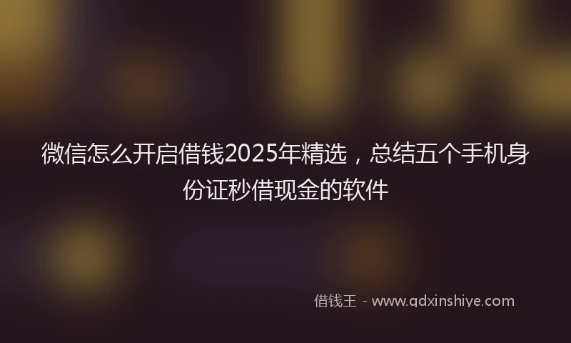 微信怎么开启借钱2025年精选，总结五个手机身份证秒借现金的软件