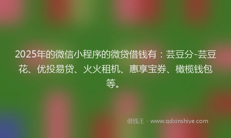 2025年的微信小程序的微贷借钱有：芸豆分-芸豆花、优投易贷、火火租机、惠享宝券、橄榄钱包等。