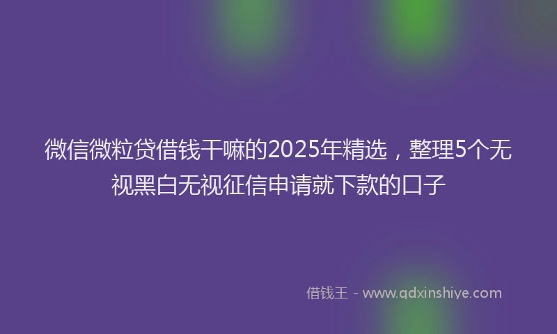 微信微粒贷借钱干嘛的2025年精选，整理5个无视黑白无视征信申请就下款的口子