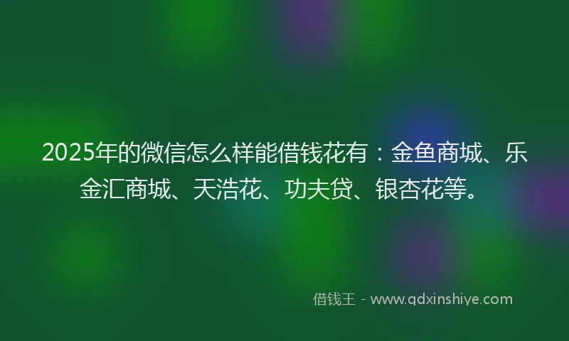 2025年的微信怎么样能借钱花有：金鱼商城、乐金汇商城、天浩花、功夫贷、银杏花等。